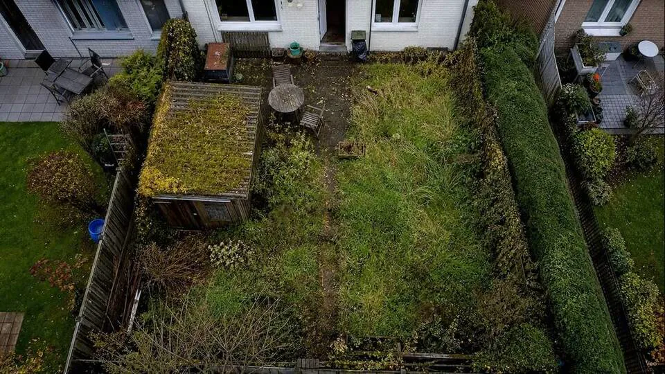 Natursteinmauer als klare Struktur im Garten